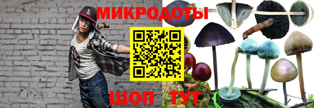 Псилоцибиновые грибы Magic Shrooms Кострома