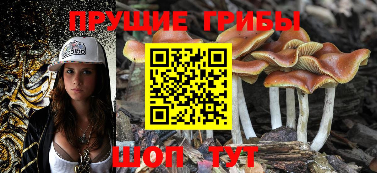 Кострома  Псилоцибиновые грибы Magic Shrooms  Вход с VPN 